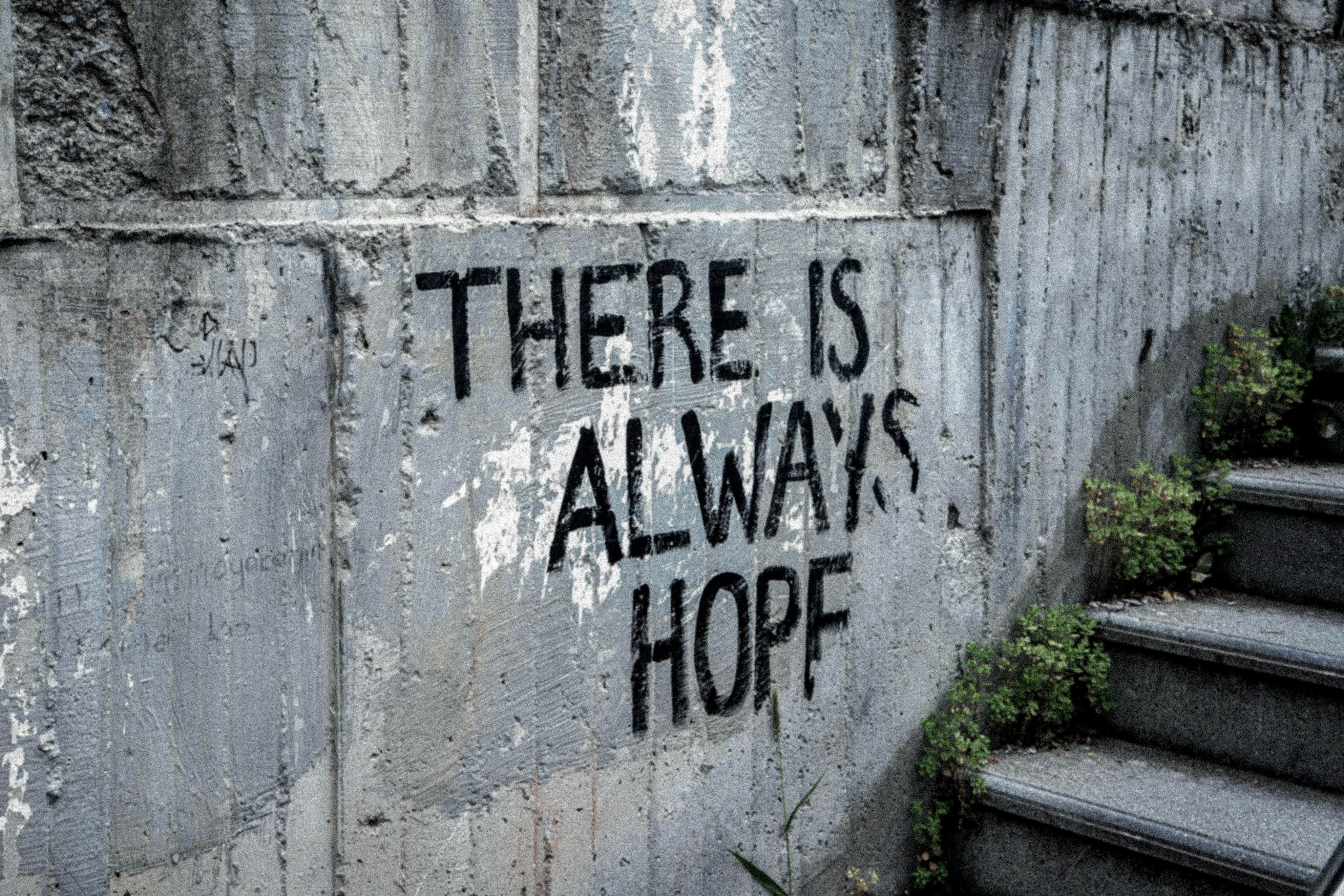 Photo of a study hall with wooden tables and chairs.